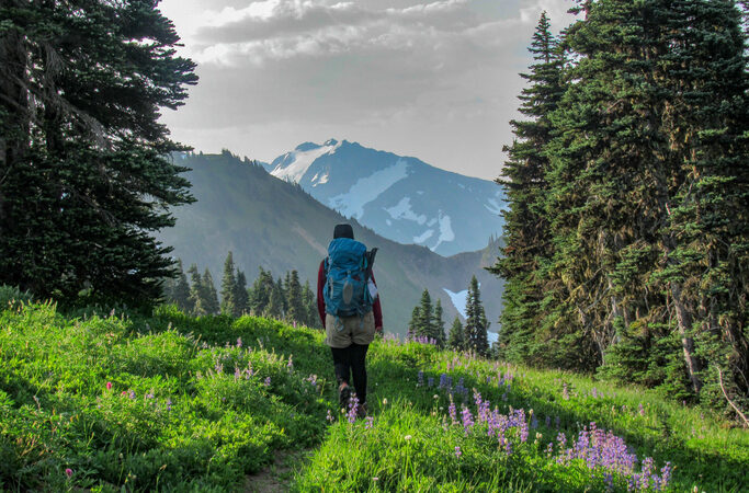 Backpacker on the Continental Divide in Olympic NP.