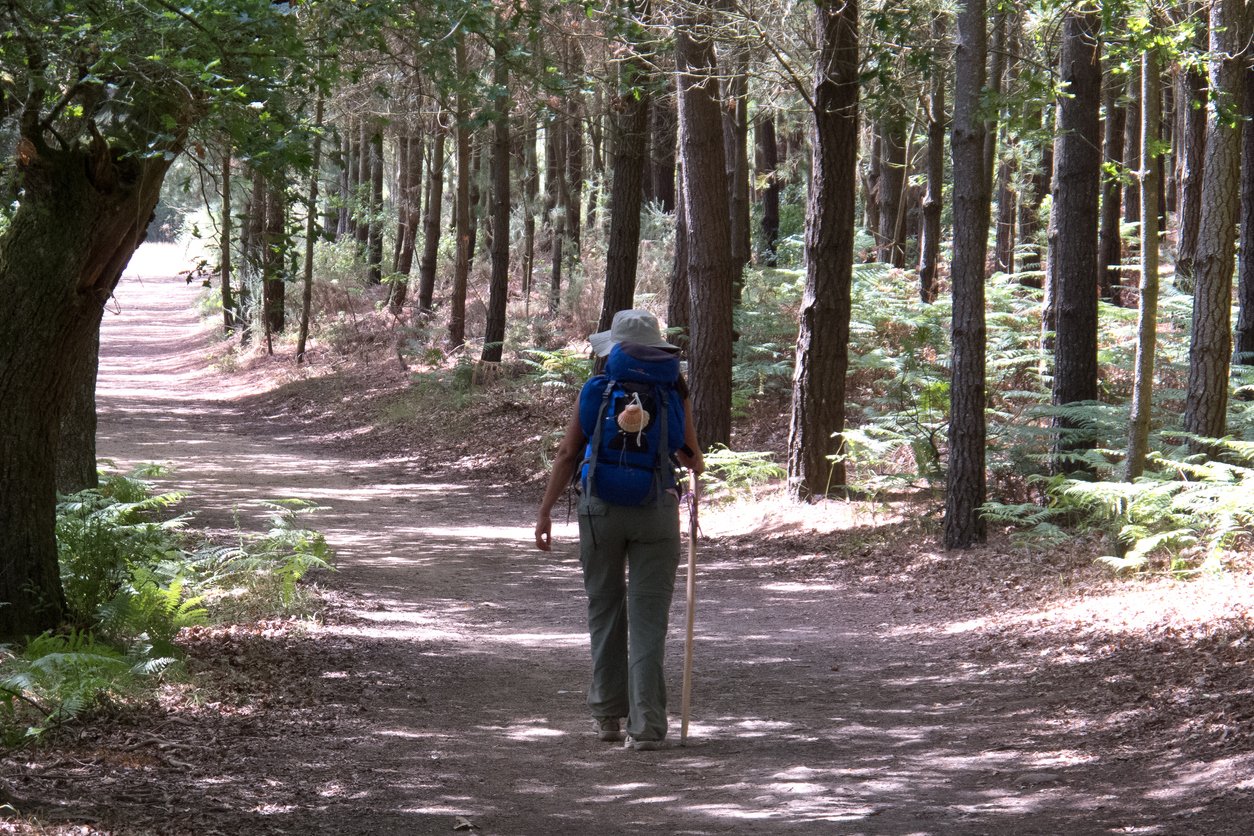 A hiker walking along the Camino de Santiago in a wood near Portomarin, in Galicia.