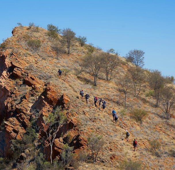 Guided 5-Day Hiking Trip Along the Larapinta Trail.