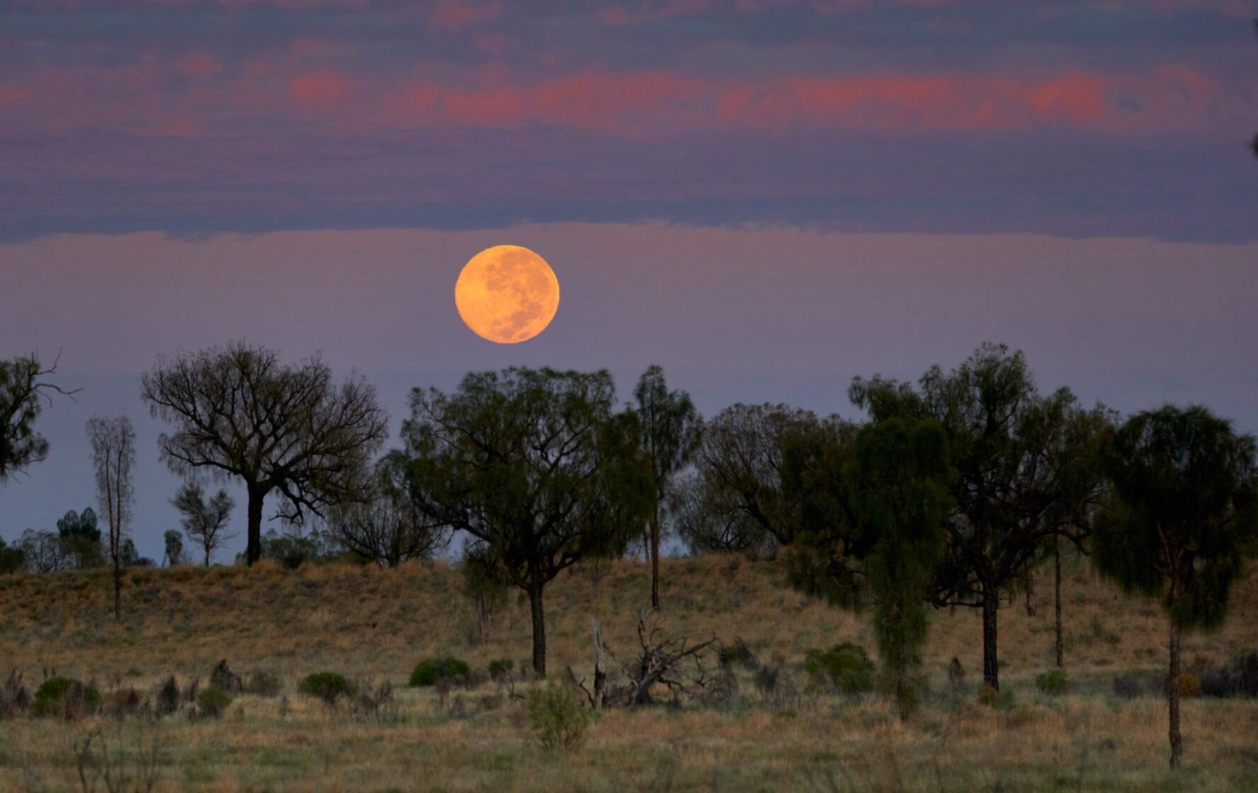 larapinta trail tour company