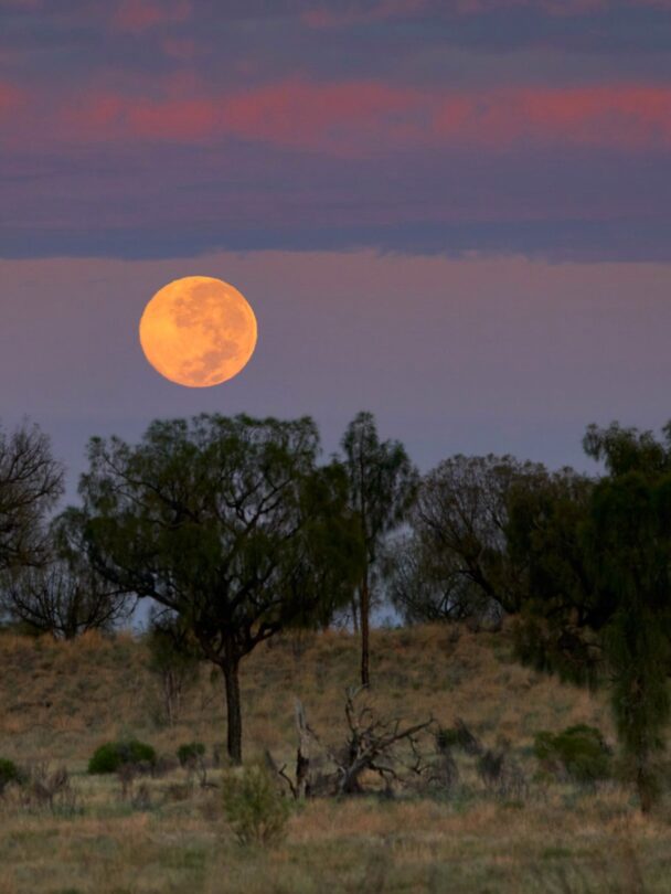 Guided 5-Day Hiking Trip Along the Larapinta Trail.