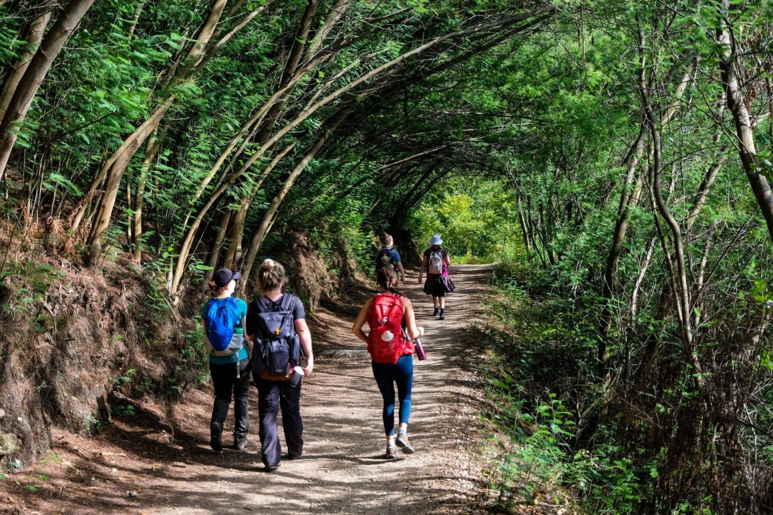 A group of women walk a wooded part of Camino de Santiago in Galicia.