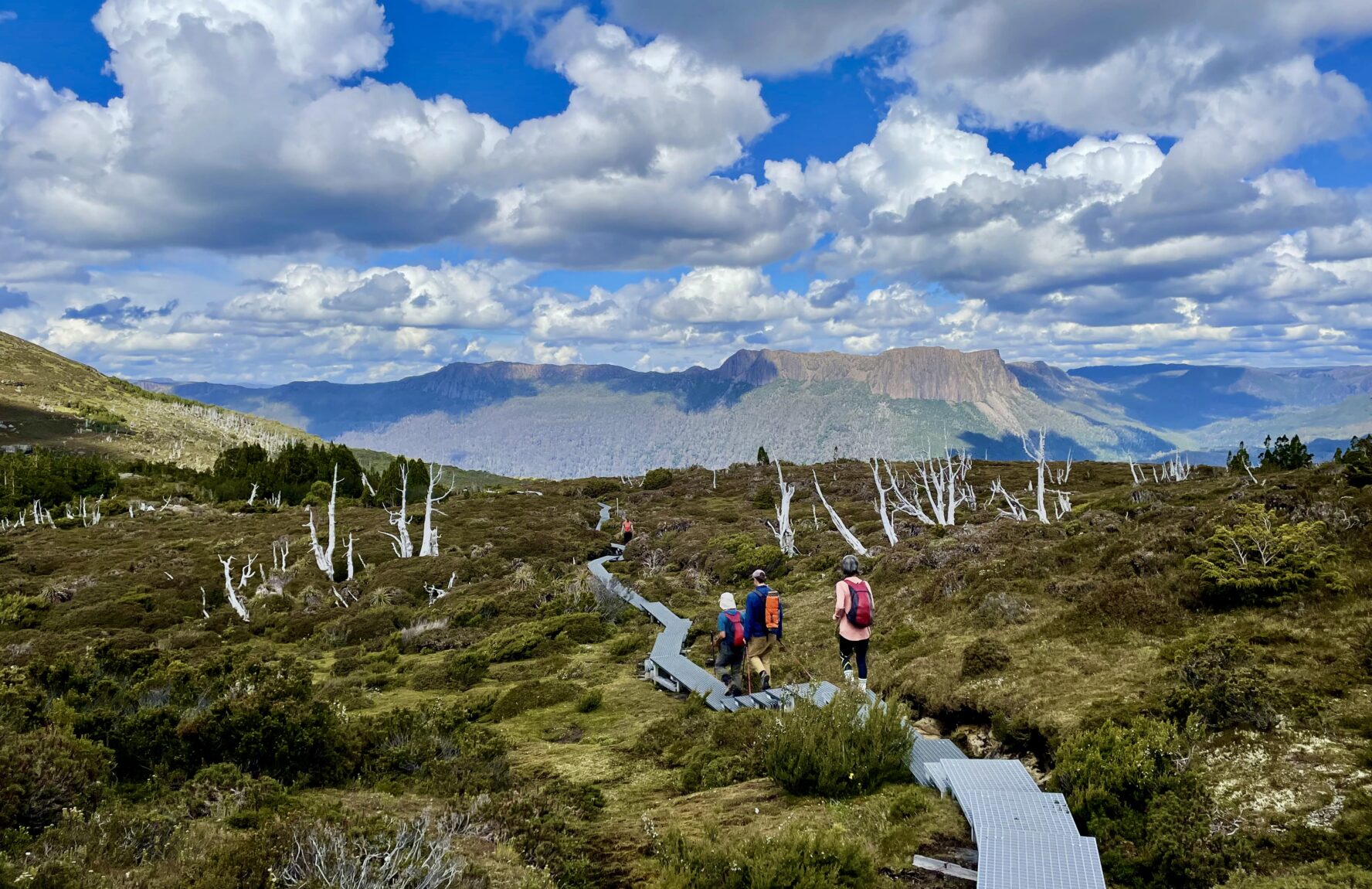 Guided Overland Track hiking tour in Tasmania