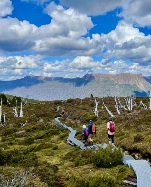 The Flains Travel: Travel Patches for Backpacks