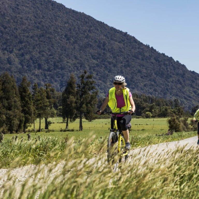 happy cyclist nz sunny