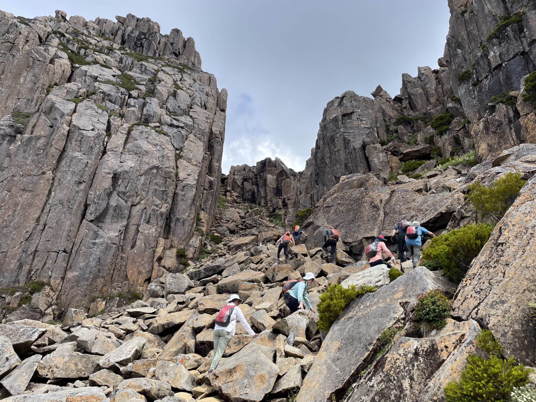 overland track tours