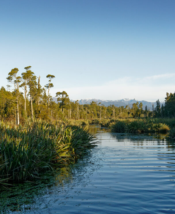 Cyclists on a path which is part of the iconic West Coast Wilderness Trail on the South Island in New Zealand
