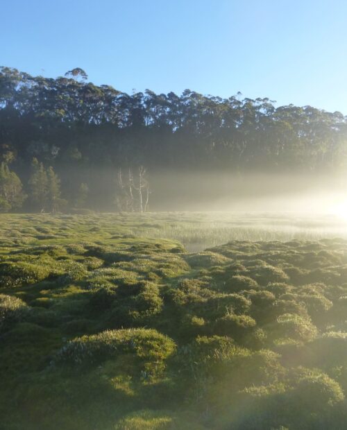 Overland Track Guided Hiking Tour, Tasmania | 57hours