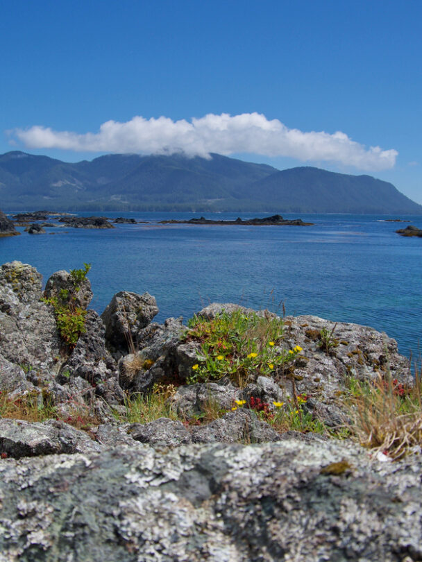 Beach Nootka island hiking
