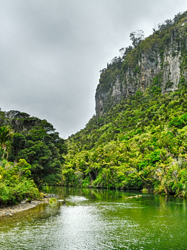 Cyclists on a path which is part of the iconic West Coast Wilderness Trail on the South Island in New Zealand