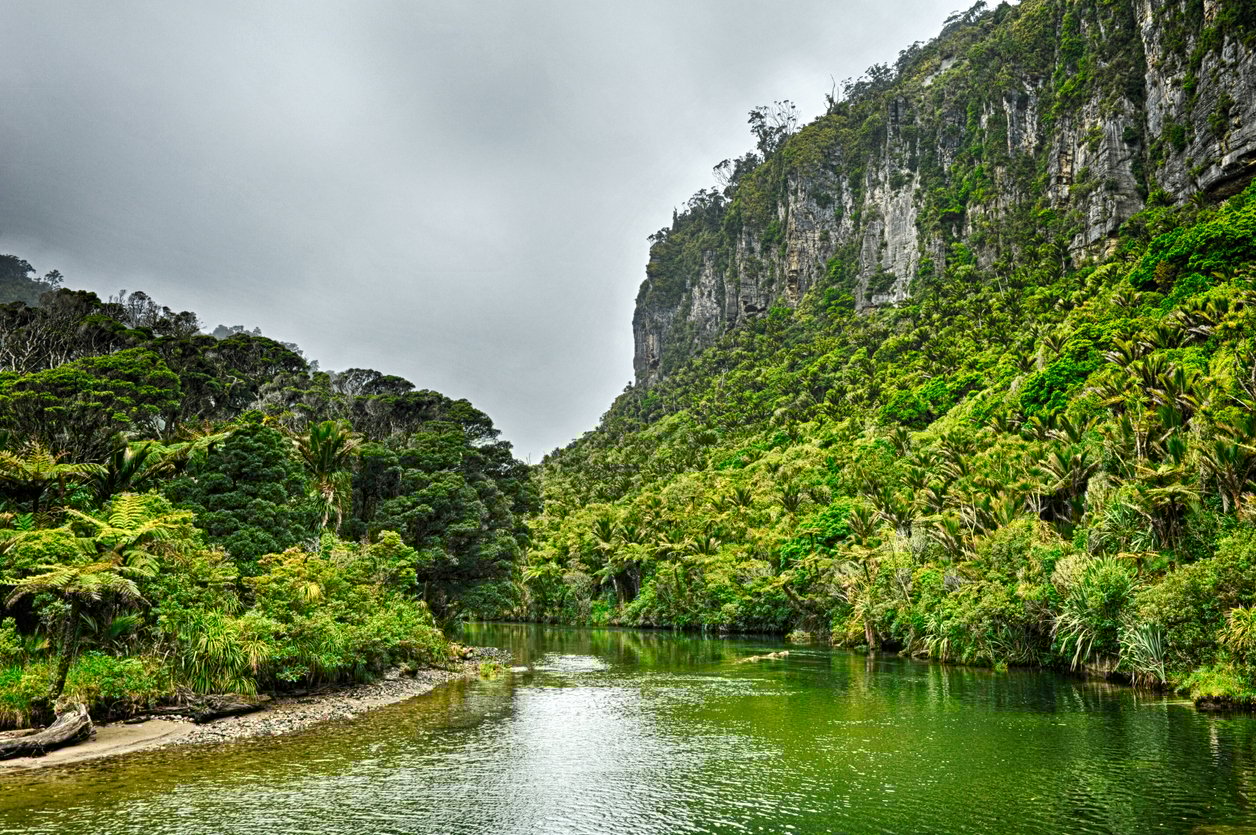 Pororari river framed by dramatic cliffs, seen while riding the West Coast Wilderness Trail in New Zealand.
