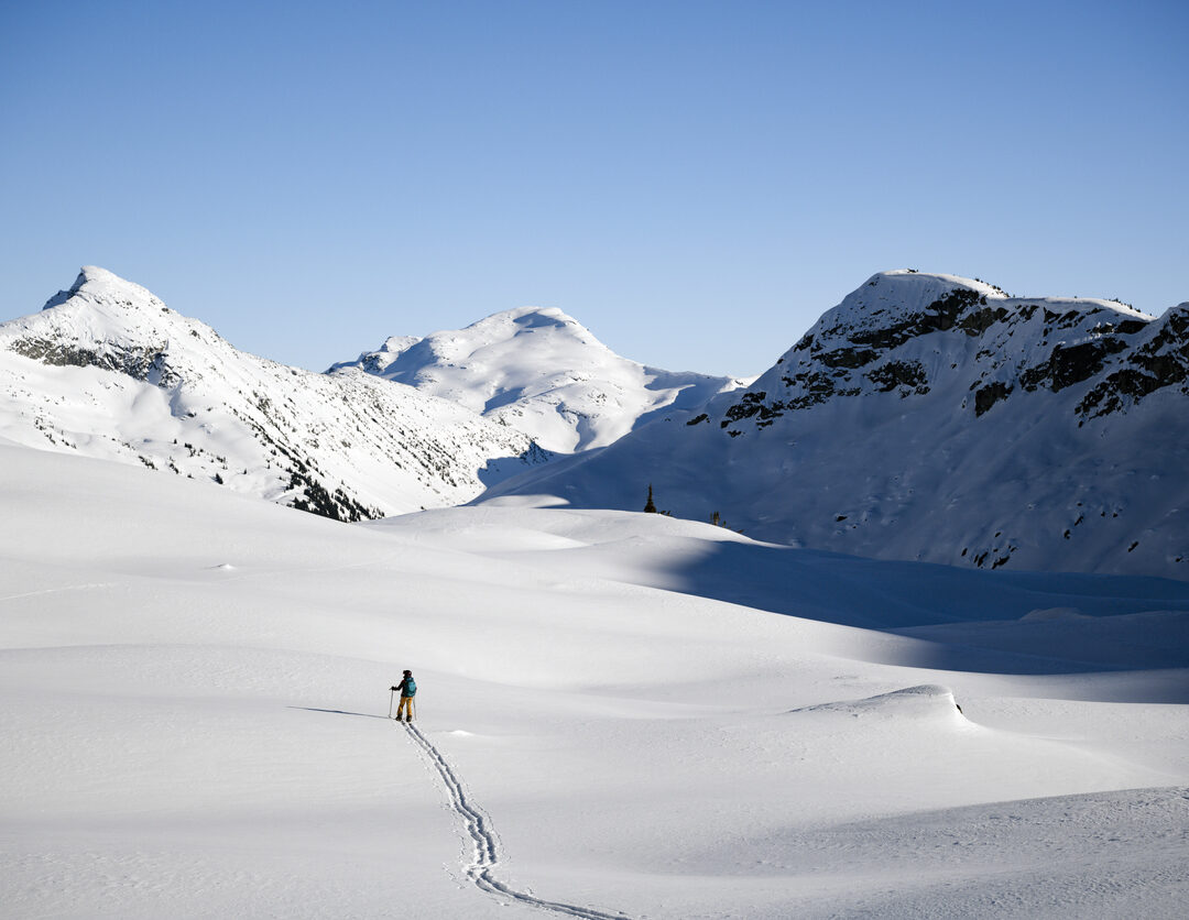 Pemberton Guided LodgeBased Backcountry Skiing 57hours