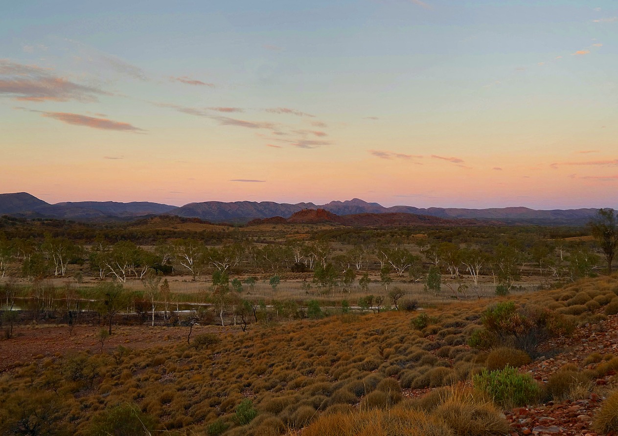 Typical landscape of Australia’s Outback near the Larapinta Trail with meditative desert, some mountains, and typical vegetation, seen at sunset.
