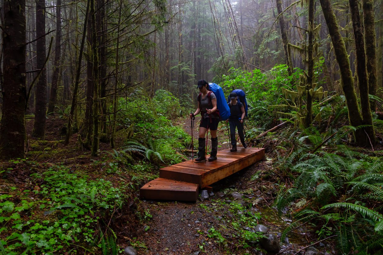 Two hikers in the woods of Nootka island