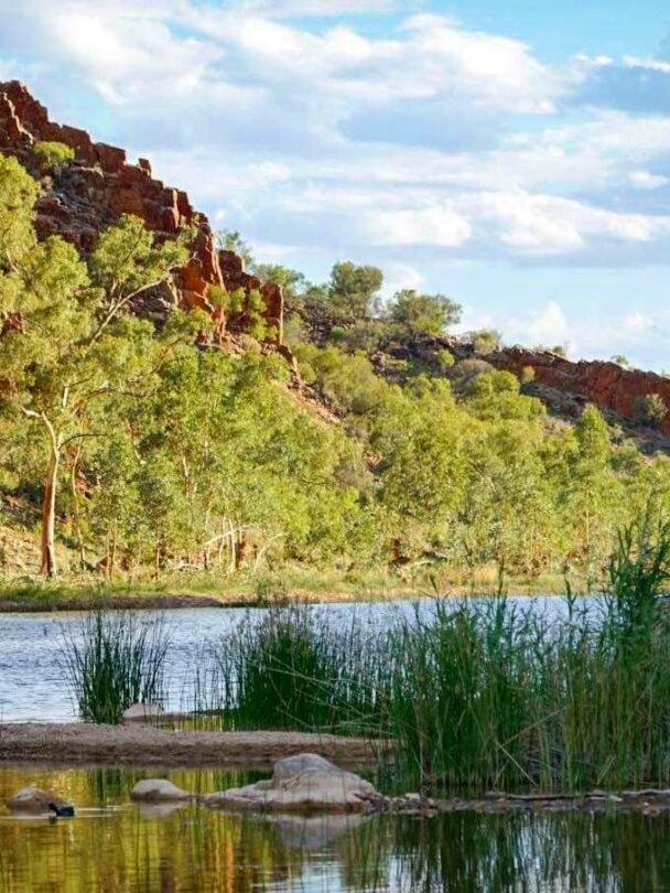 Guided 5-Day Hiking Trip Along the Larapinta Trail.