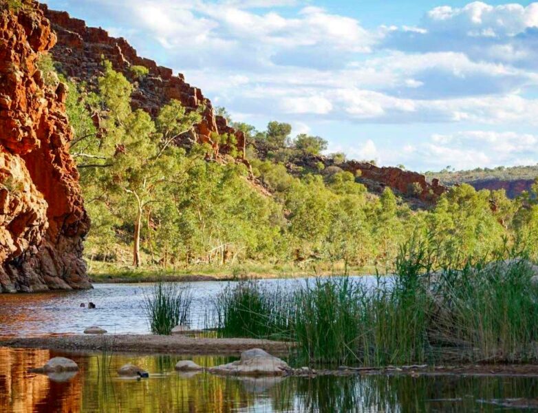 Guided Larapinta Trail Hiking Tour in the Outback | 57hours