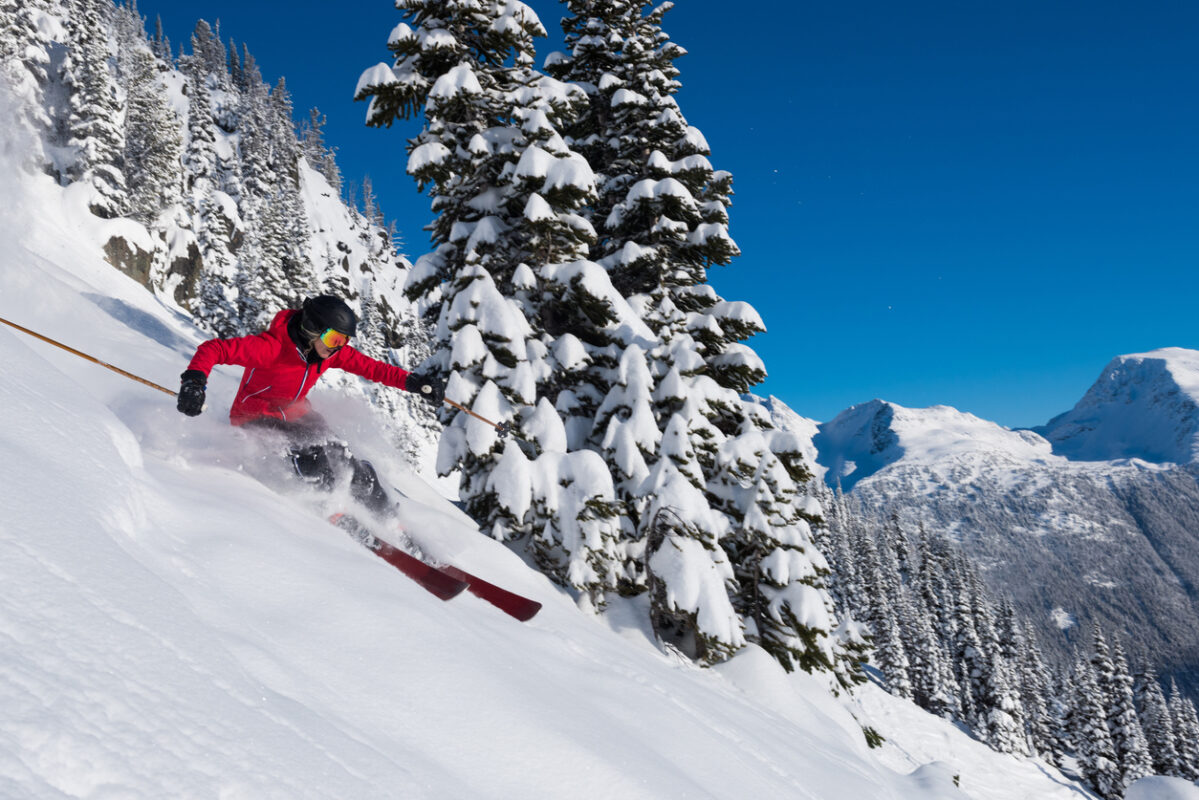 Skier in red jacket skiing down the slope of the Whistler side country there is a tree covered in snow behind them.