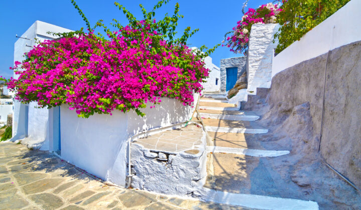 Apollonia Sifnos