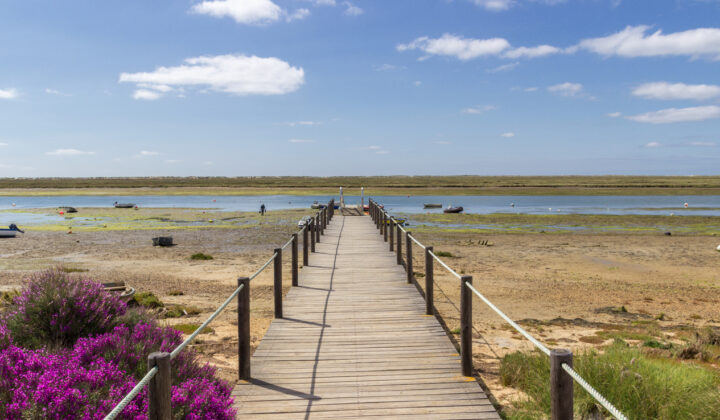 Boardwalk in Tavira islands, surrounded by marshy coast.