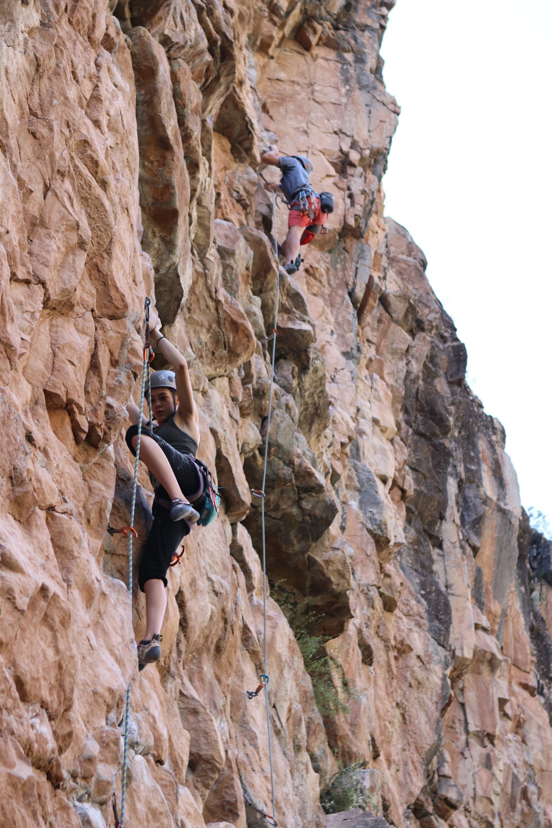 Climbers in Rifle Park