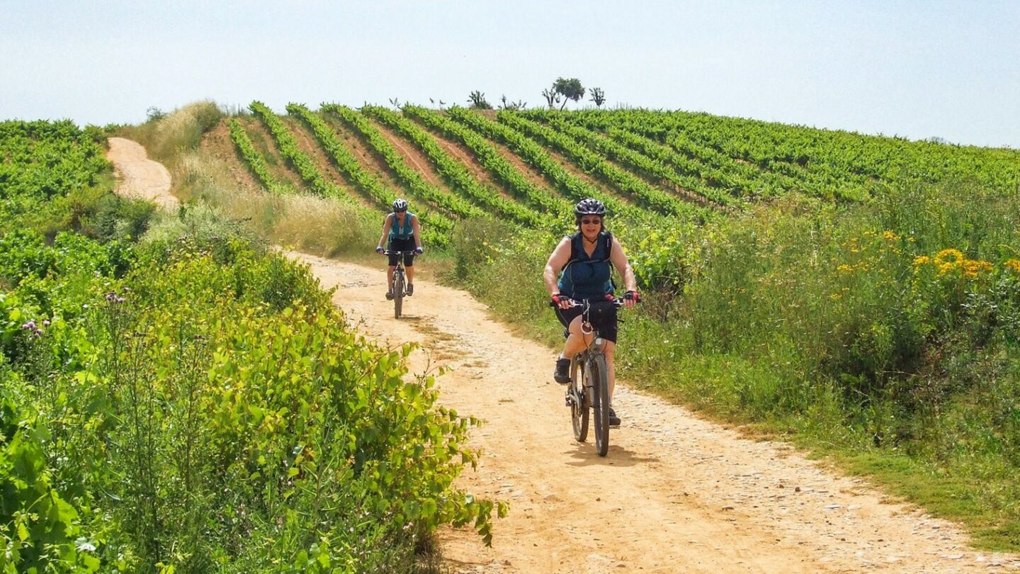 Cyclers on the Camino