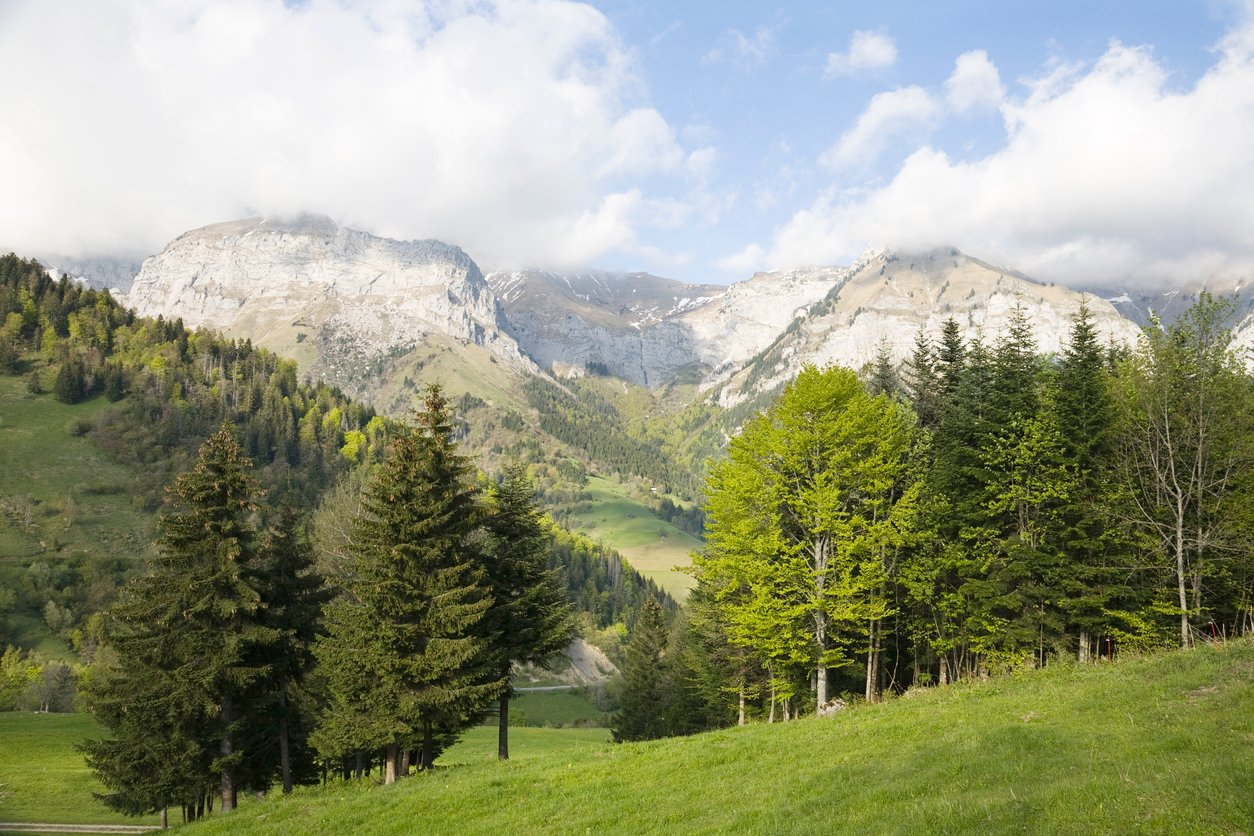 Alpine valley nestled between gradual slopes and rugged peaks and covered in trees.