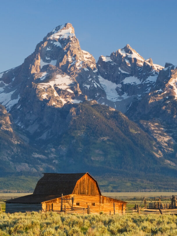 Guided cycling tour in Grand Teton National Park