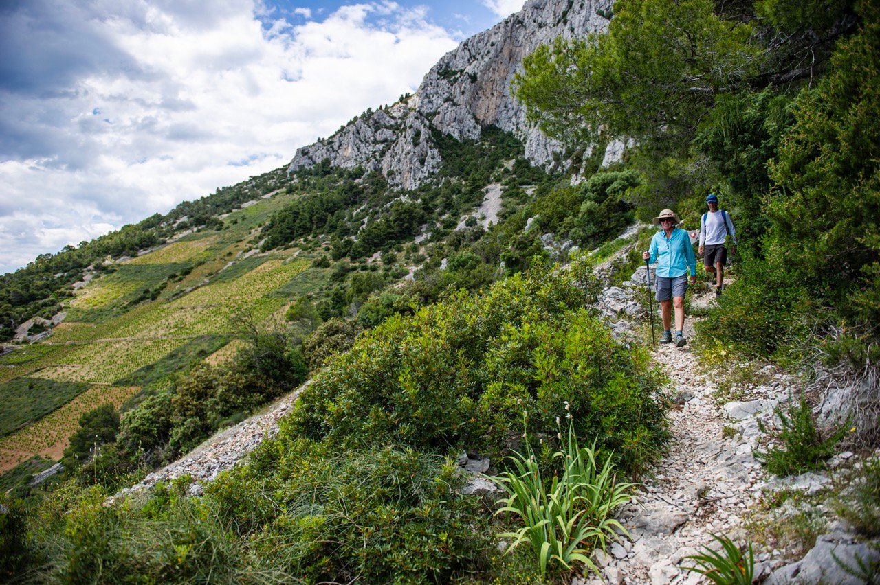 Walking along a trail full of greenery