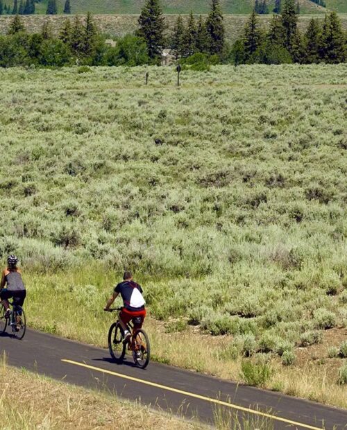 Guided cycling tour in Grand Teton National Park