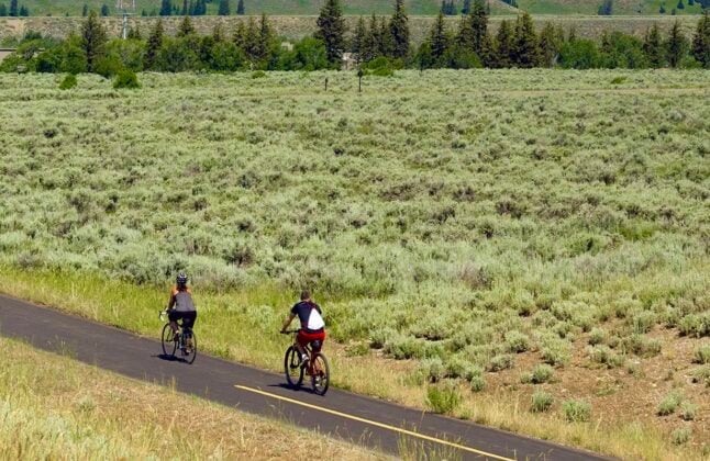 Guided cycling tour in Grand Teton National Park