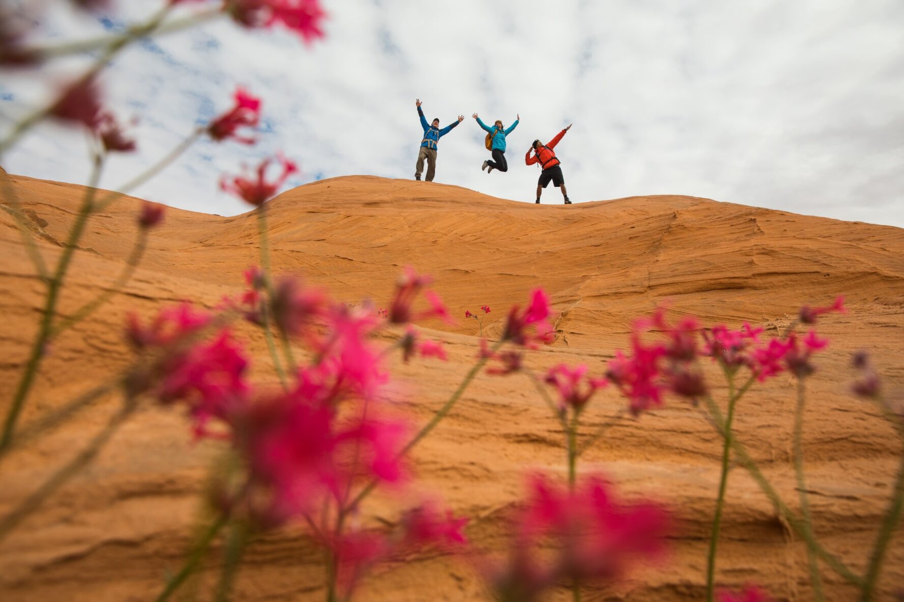 Hikers in Canyon Country