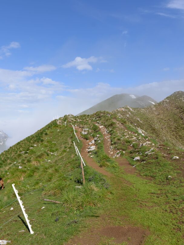 Guided hiking tour in Kranjska Gora and Julian Alps