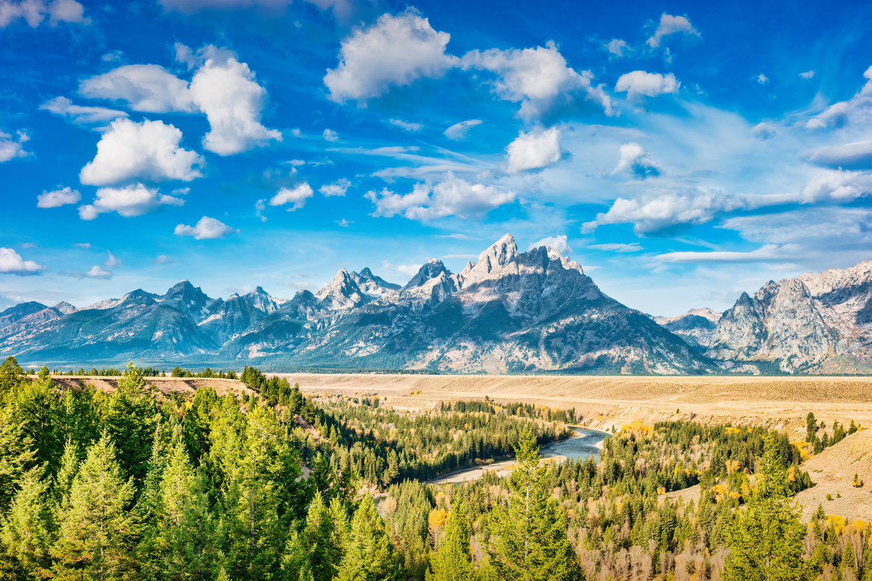 Jackson Valley in Grand Teton