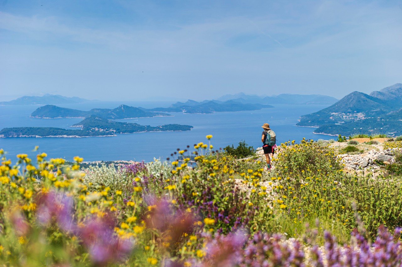 Meadows and islands