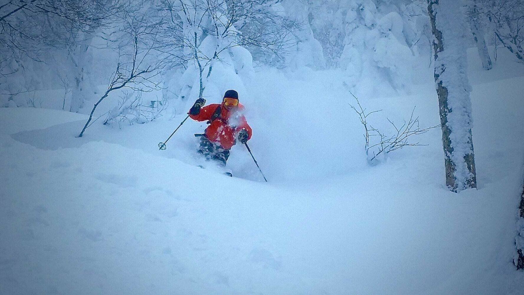 Powder skiing in Japan