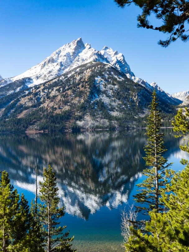 Guided cycling tour in Grand Teton National Park
