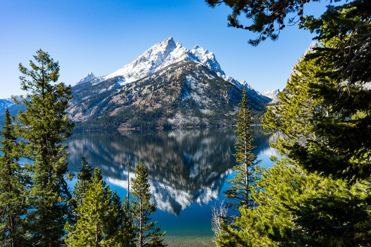 Reflection of Lake Jenny in Grand Teton