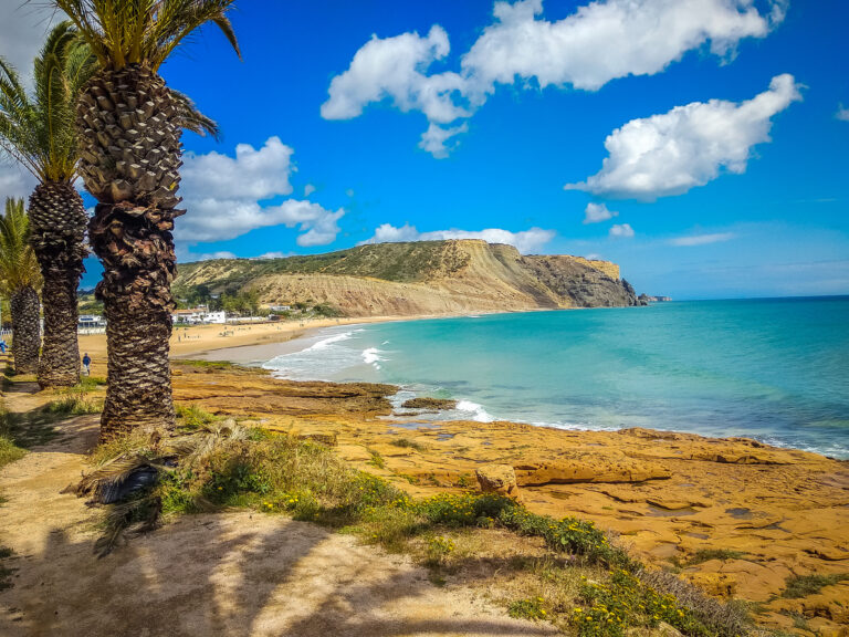 A scenic beach Praia da Luz in Algarve lined with palm trees and offering views to the headland in the distance.