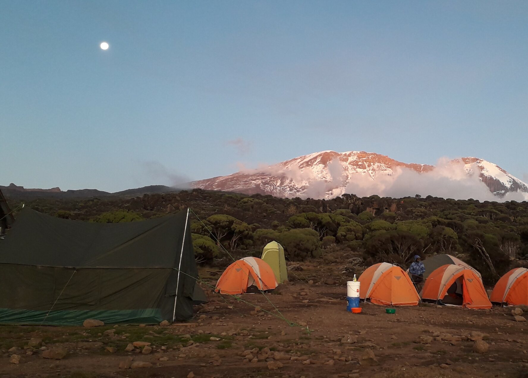 A camp near low rainforest, Lemosho route, Kilimanjaro.