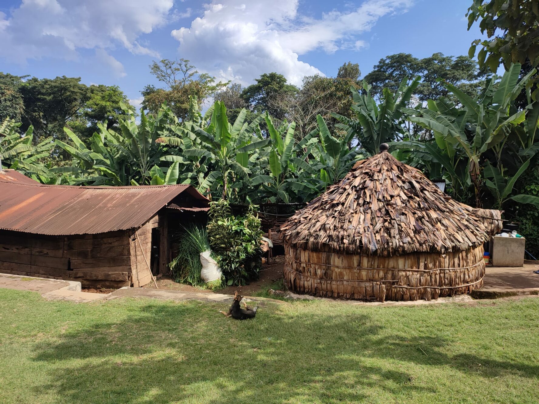 A village of the Chagga tribe with traditional houses made of natural materials.