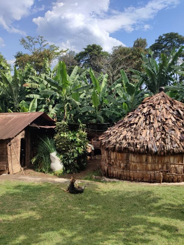 Women-Only Kilimanjaro Trek via Lemosho Route.