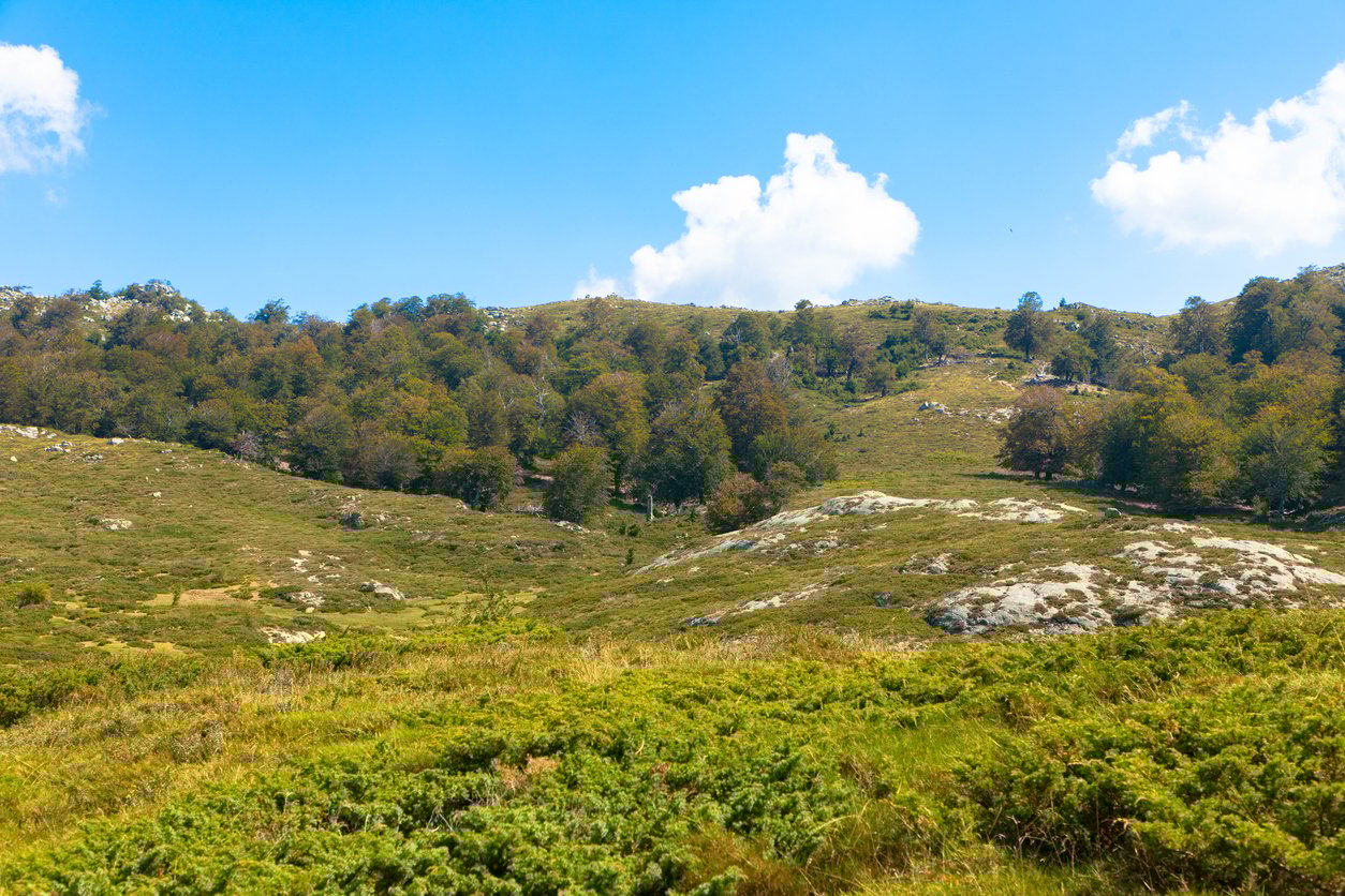 Corsica France, landscape