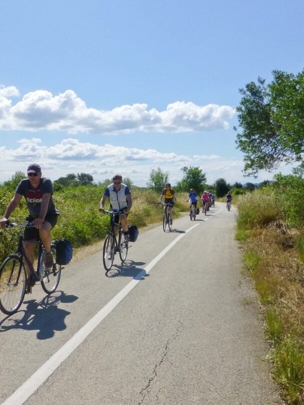 Mountain bikers on a trail in Istria, Croatia.