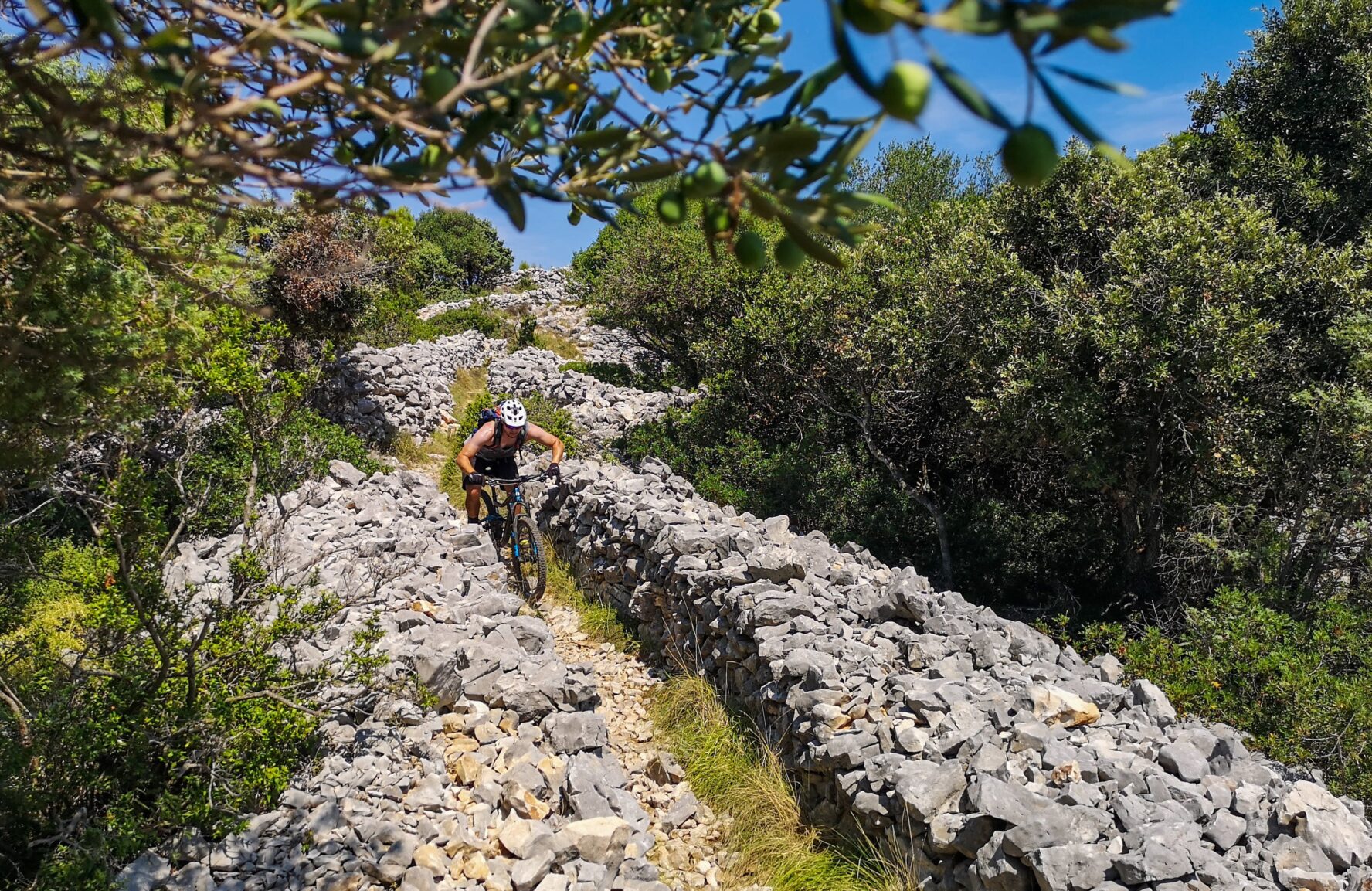 Cyclist going between drystones