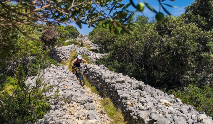 Cyclist going between drystones