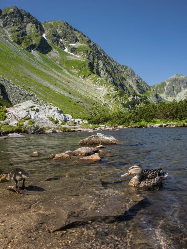 Hiking Adventure in the High Tatras and Slovak Paradise.