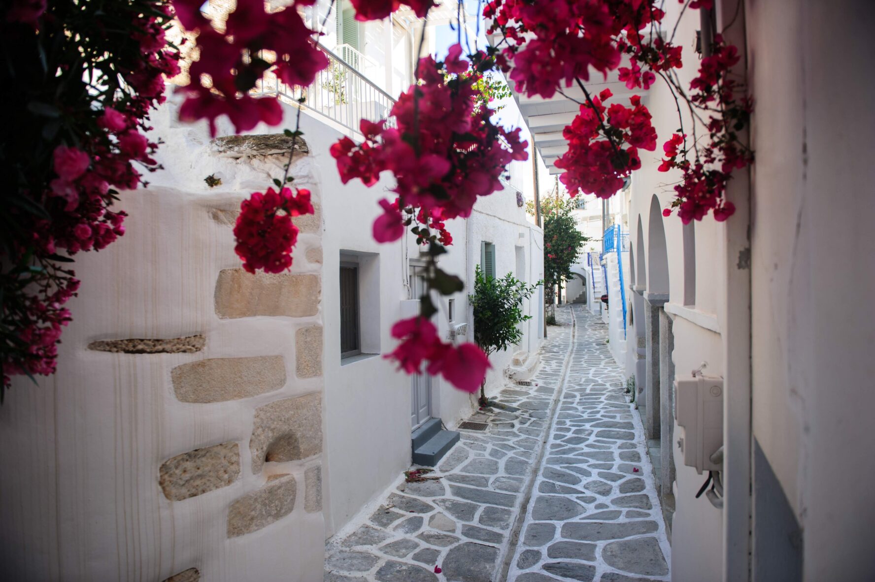 Flower adorned street in Greece