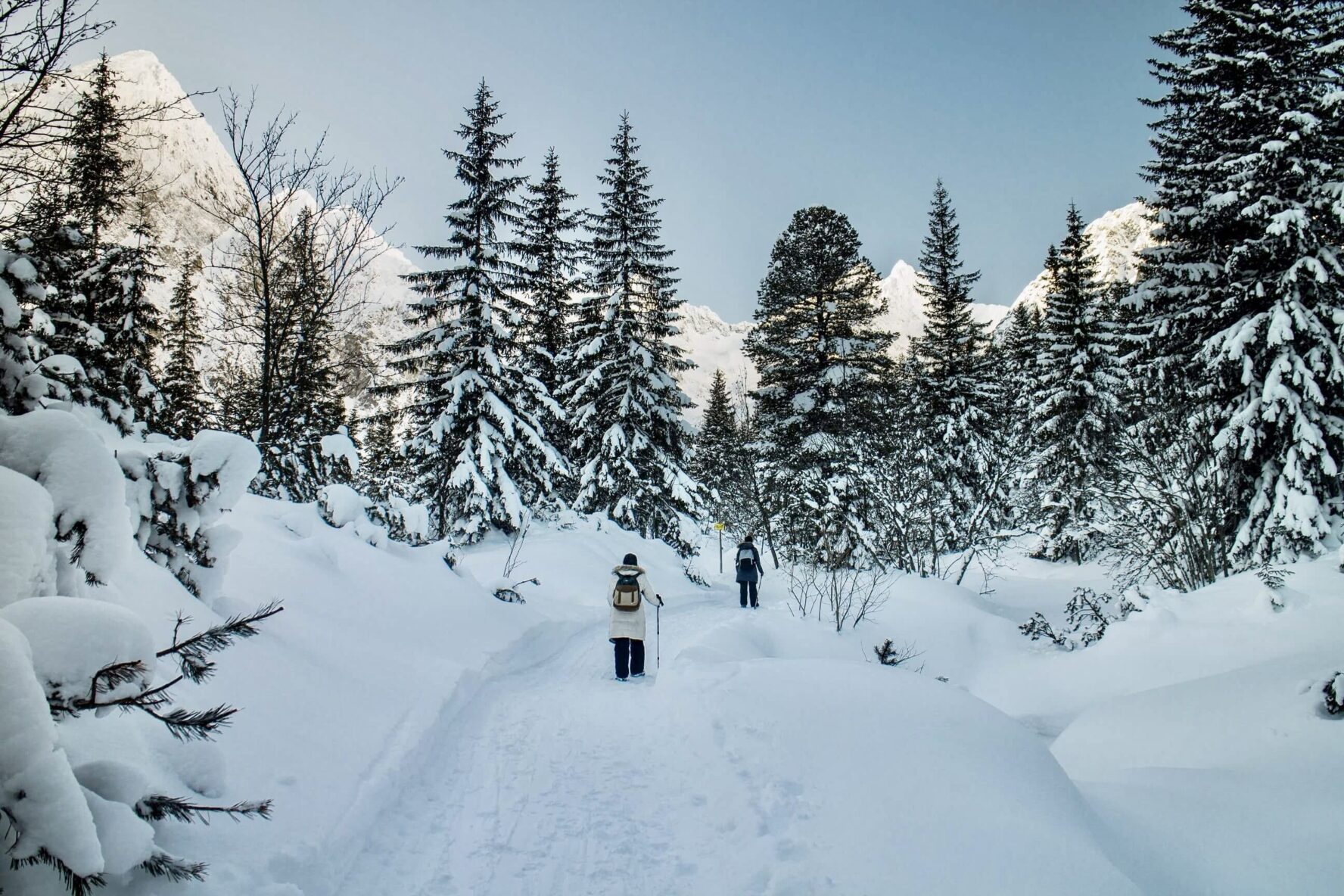 Forest winter hiking in the Tatras