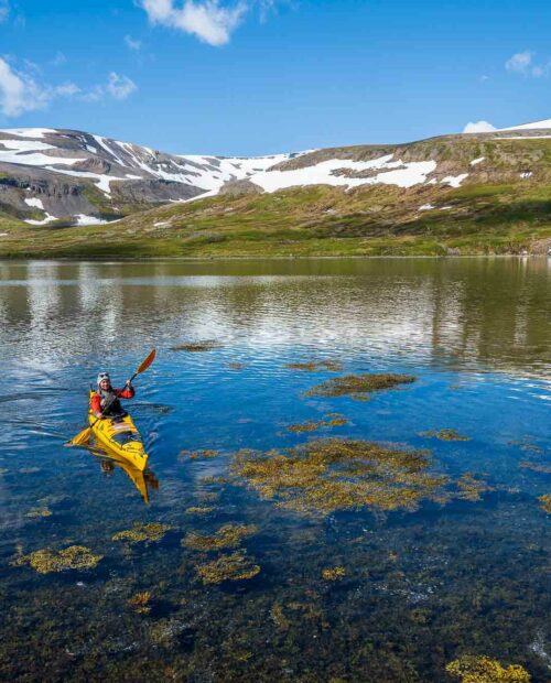 Guided sea kayaking Iceland tour