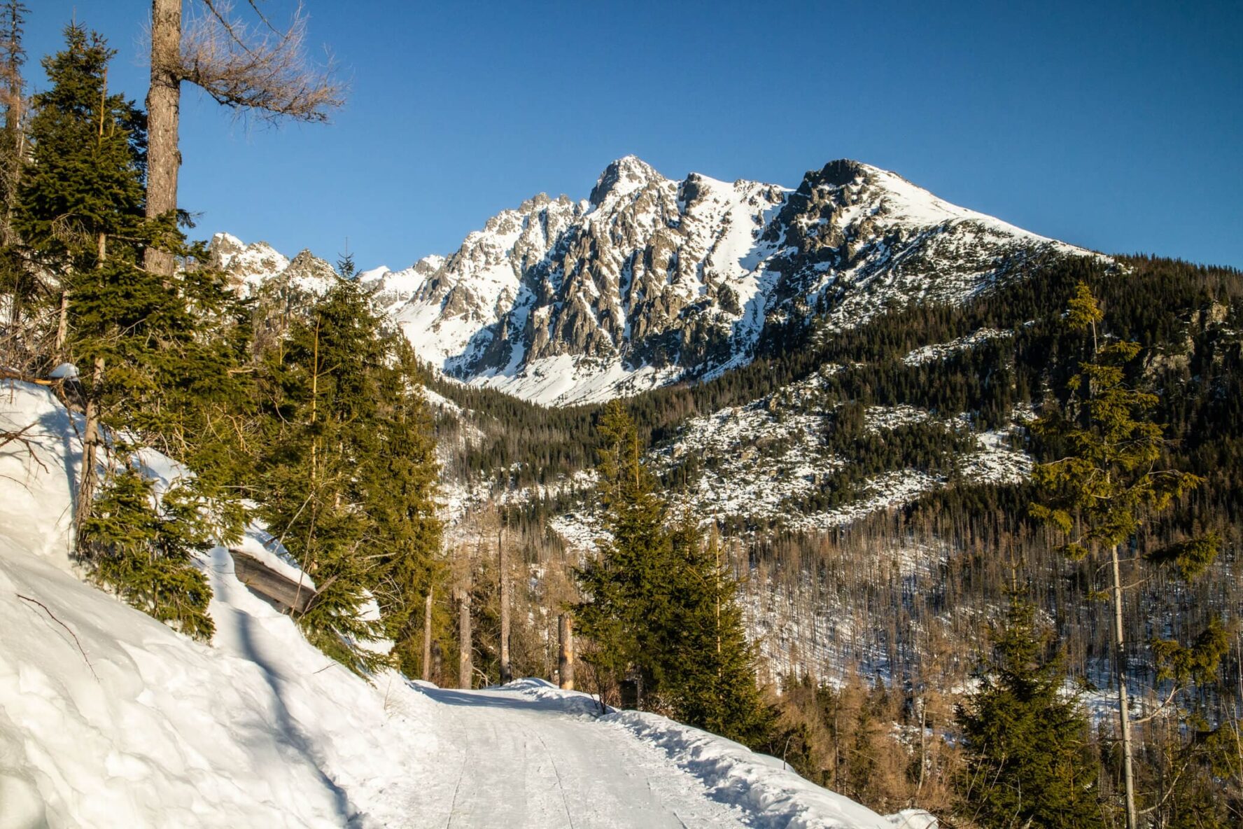 High Tatras in winter